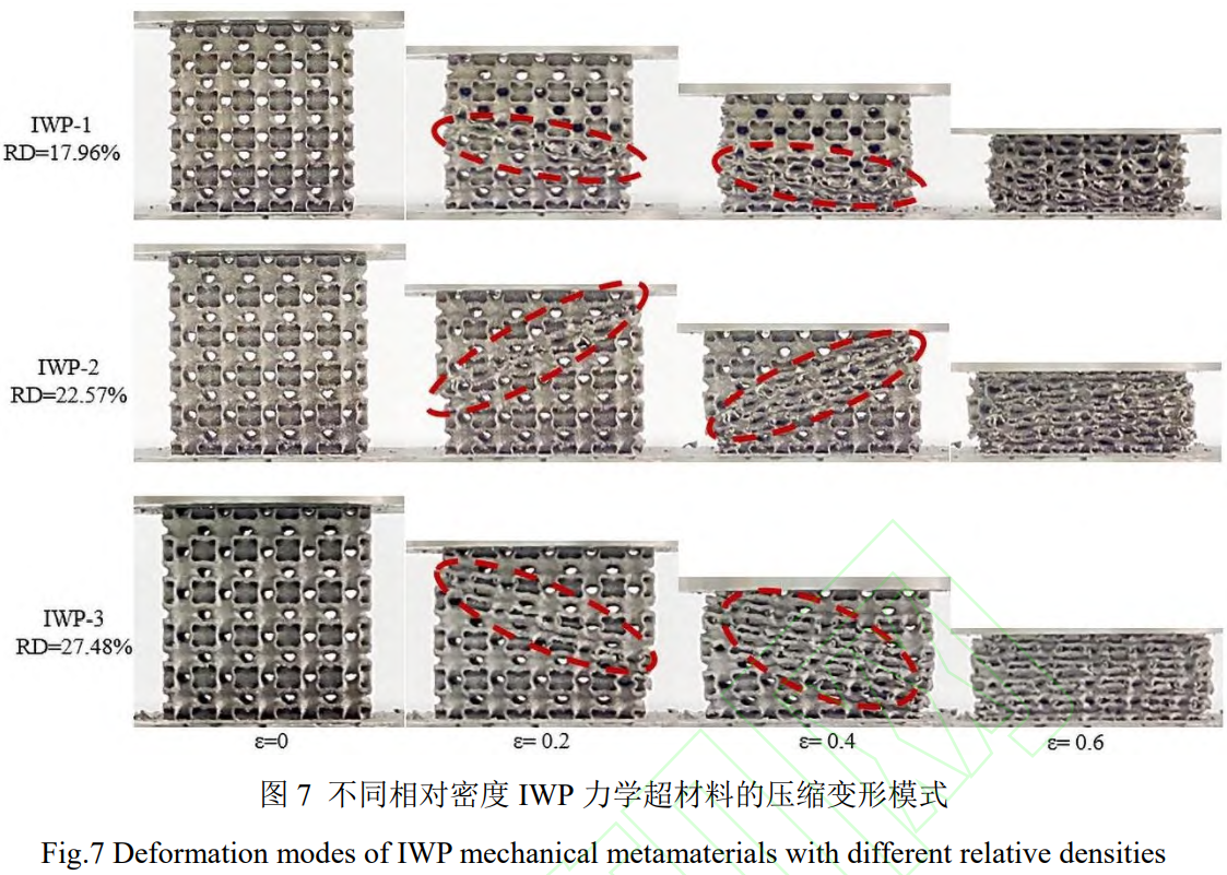 截圖20250206205646.png